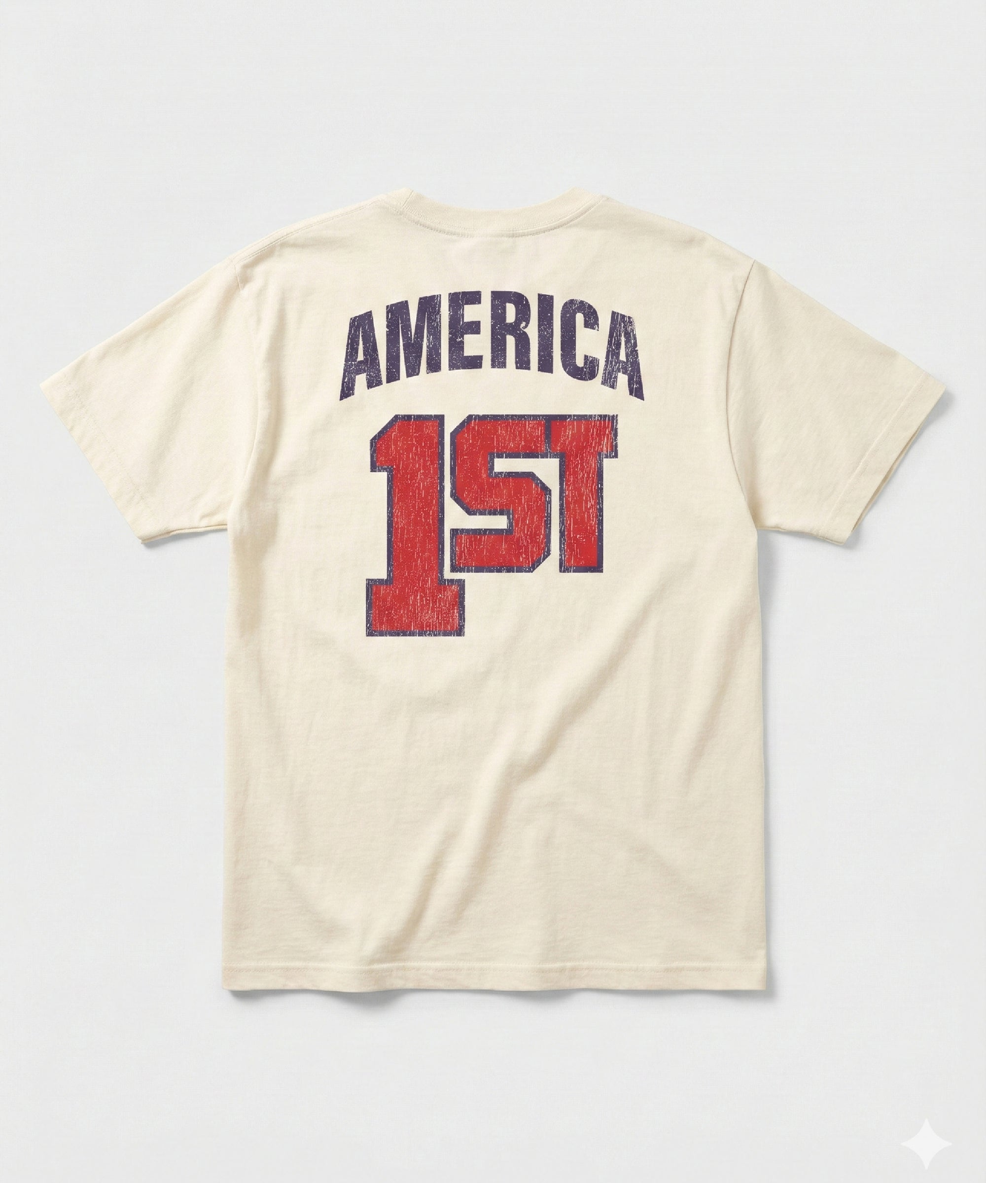 Team USA 1ST — Heavyweight Oversized Tee